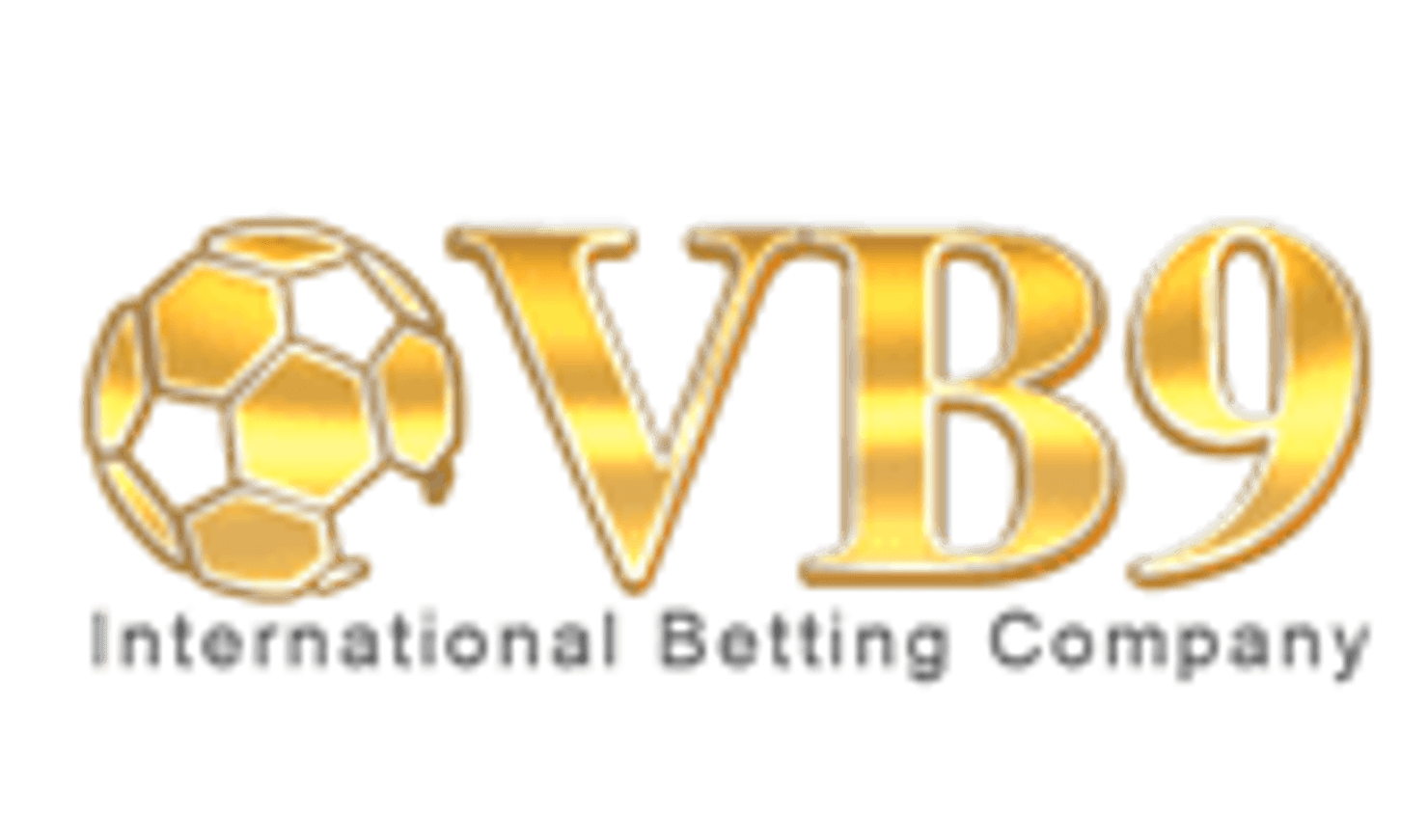 vb9 logo